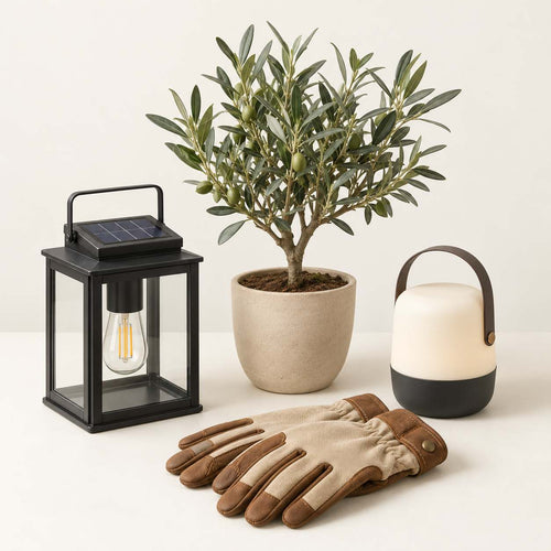 Jardin