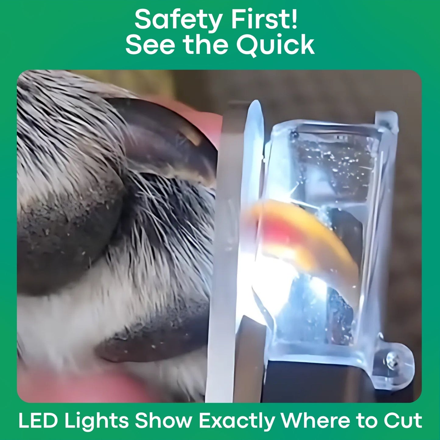 GriffeZen™ – Coupe-Ongles LED Anti-Coupure pour Animaux + -50%