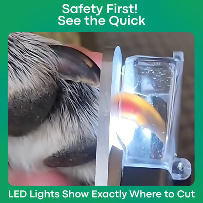 GriffeZen™ – Coupe-Ongles LED Anti-Coupure pour Animaux + -50%