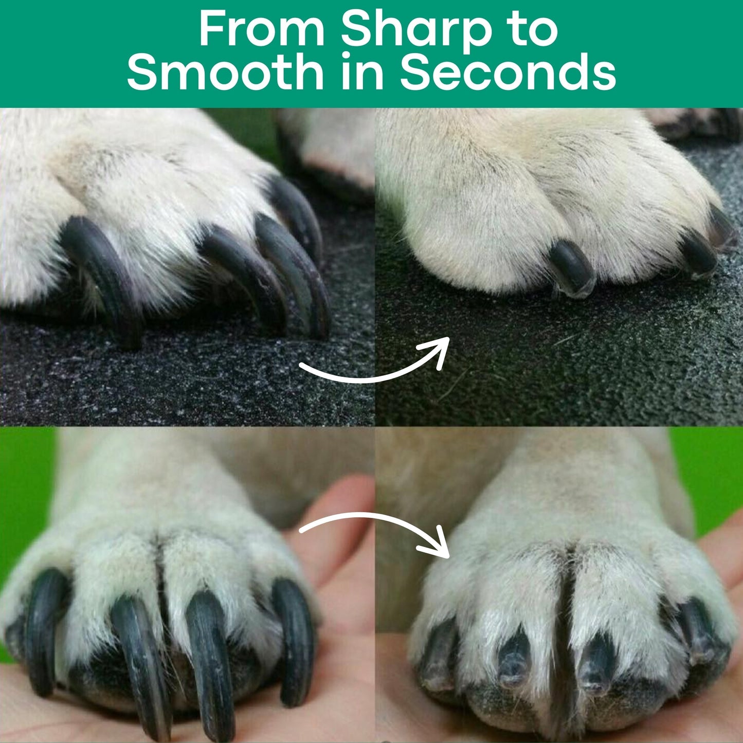 GriffeZen™ – Coupe-Ongles LED Anti-Coupure pour Animaux + -50%