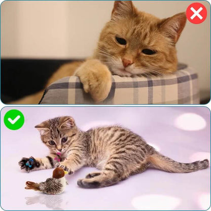 PurrTweet™ – Jouet interactif pour chat avec sons d’oiseau