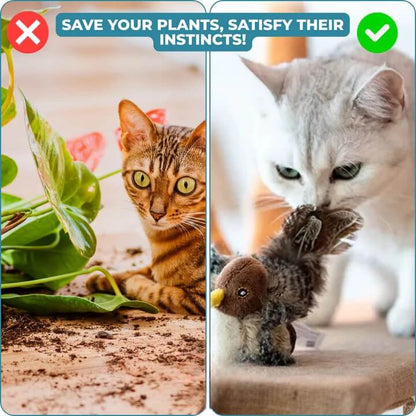 PurrTweet™ – Jouet interactif pour chat avec sons d’oiseau