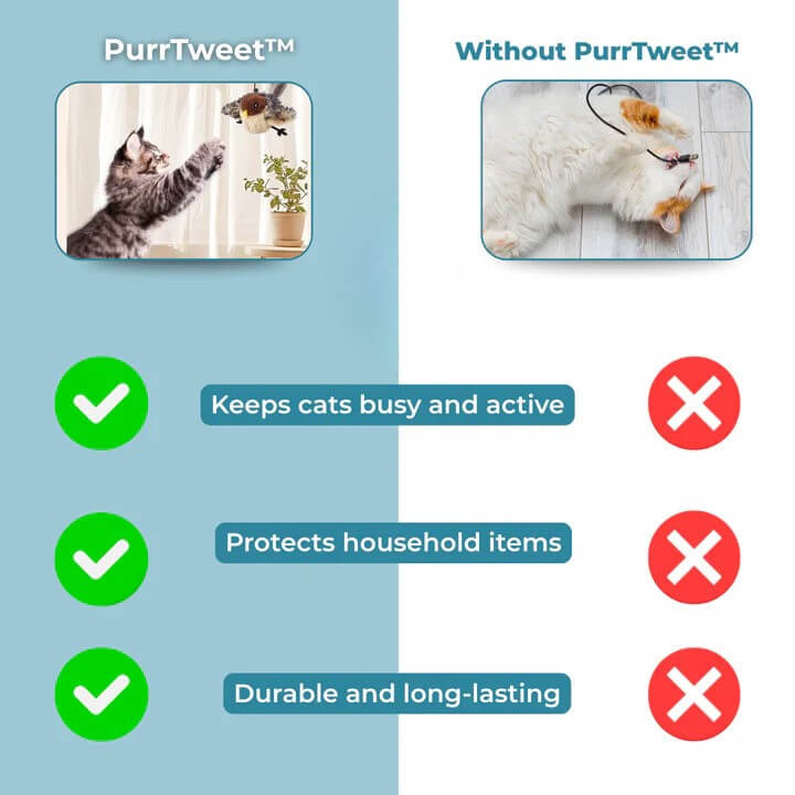 PurrTweet™ – Jouet interactif pour chat avec sons d’oiseau