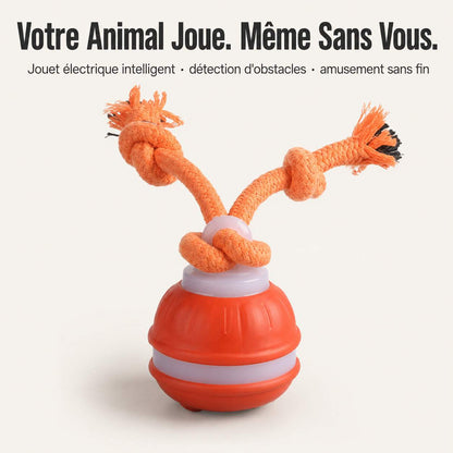 FunPaw™ – Balle Interactive Intelligente pour Chats & Chiens + 50% OFF