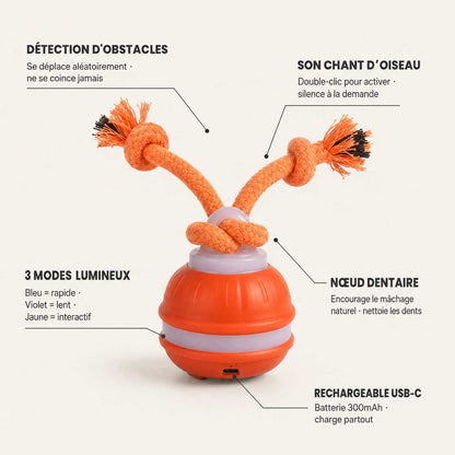 FunPaw™ – Balle Interactive Intelligente pour Chats & Chiens + 50% OFF