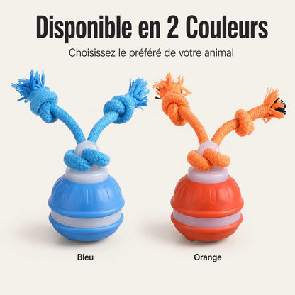 FunPaw™ – Balle Interactive Intelligente pour Chats & Chiens + 50% OFF