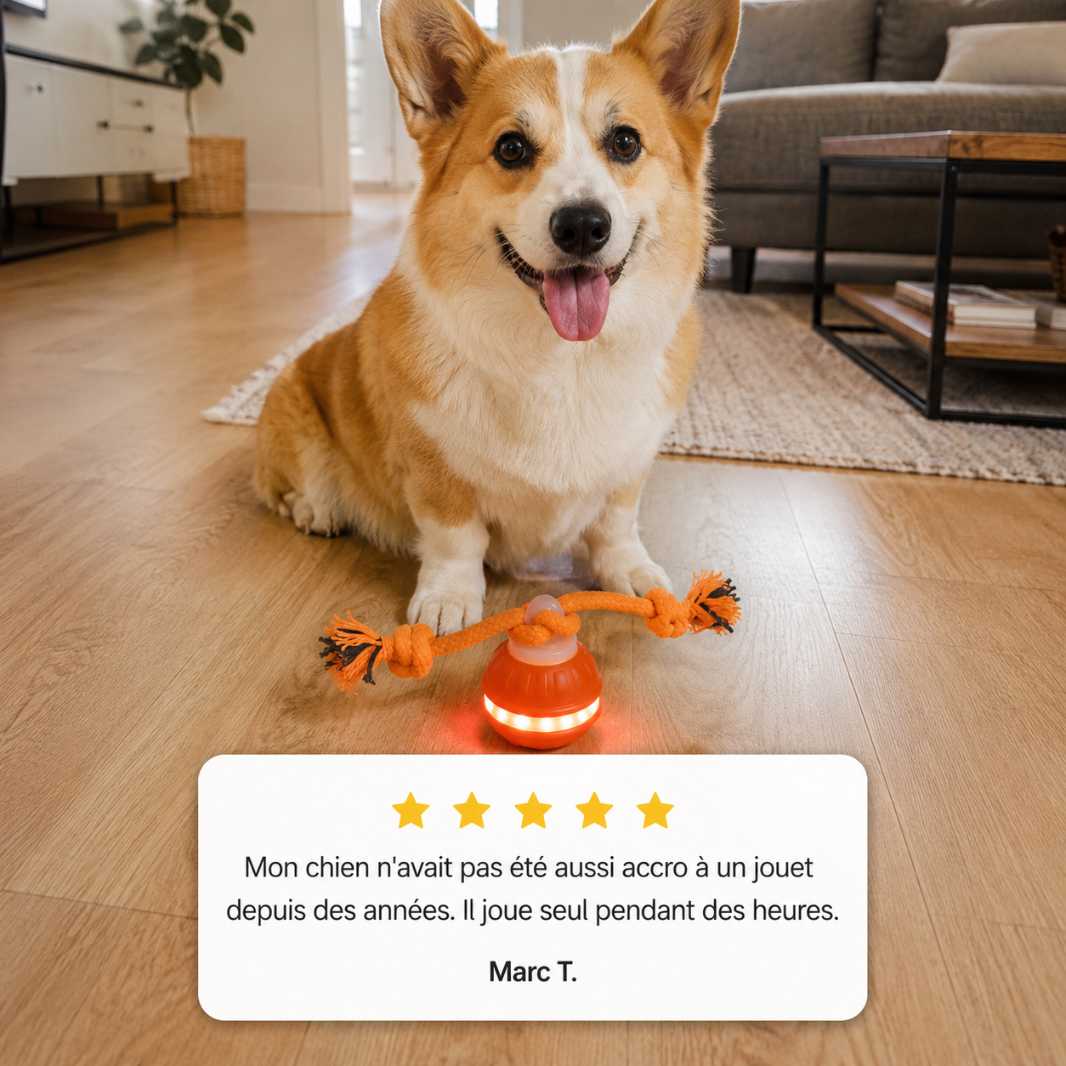 FunPaw™ – Balle Interactive Intelligente pour Chats & Chiens + 50% OFF