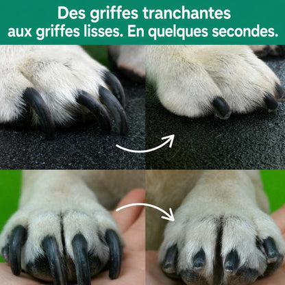 GriffeZen™ – Coupe-Ongles LED Anti-Coupure pour Animaux + -50%