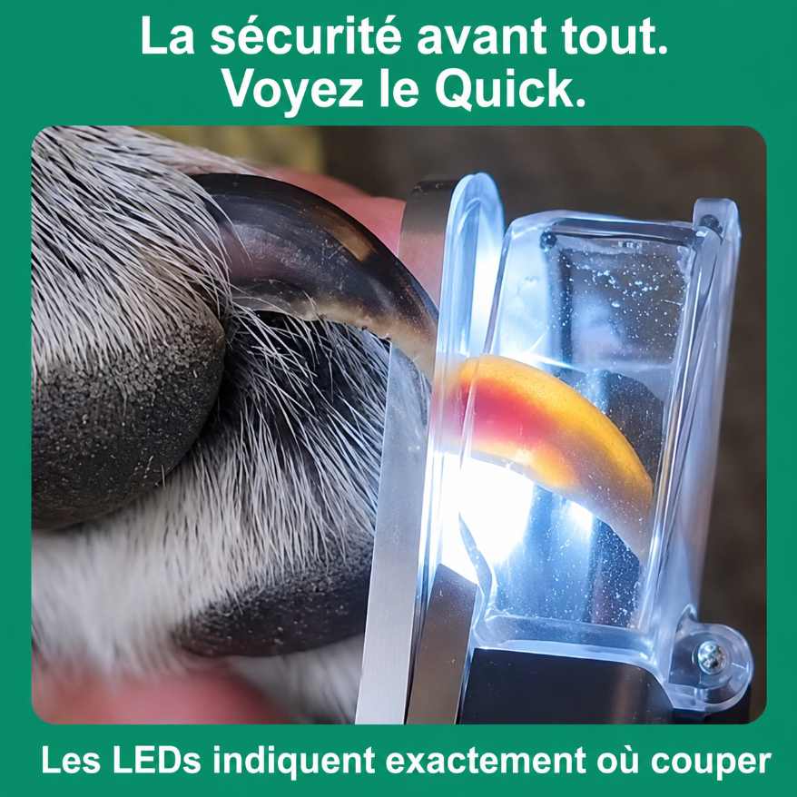 GriffeZen™ – Coupe-Ongles LED Anti-Coupure pour Animaux + -50%