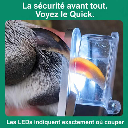 GriffeZen™ – Coupe-Ongles LED Anti-Coupure pour Animaux + -50%