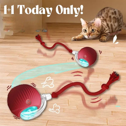 CatBounce™ | 1+1 Gratuit – Aujourd’hui Seulement !